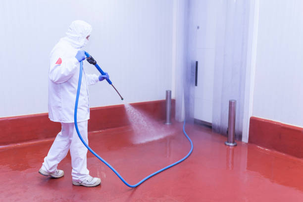  Lake Dallas, TX Pressure Washing Pros
